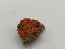 Load image into Gallery viewer, Crocoite
