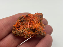 Load image into Gallery viewer, Crocoite
