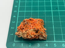 Load image into Gallery viewer, Crocoite
