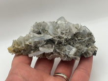 Load image into Gallery viewer, Baryte,chalcopyrite and galena
