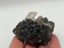 Load image into Gallery viewer, Quartz on siderite
