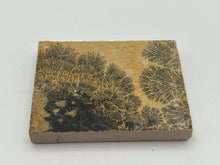 Load image into Gallery viewer, Dendrite
