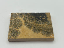 Load image into Gallery viewer, Dendrite
