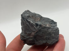 Load image into Gallery viewer, Pyrolusite
