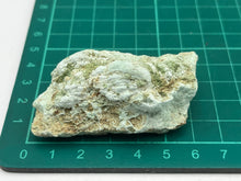 Load image into Gallery viewer, Garnierite
