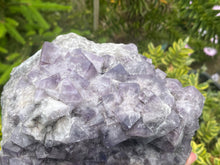 Load image into Gallery viewer, Fluorite
