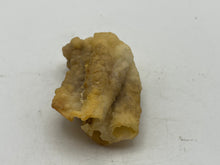 Load image into Gallery viewer, Bamboo agate
