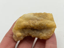 Load image into Gallery viewer, Bamboo agate
