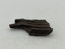 Load image into Gallery viewer, Druzy fossil wood
