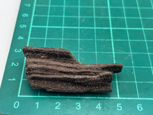 Load image into Gallery viewer, Druzy fossil wood
