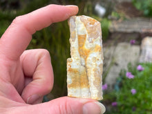 Load image into Gallery viewer, Bamboo agate
