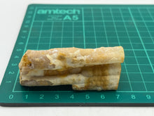 Load image into Gallery viewer, Bamboo agate
