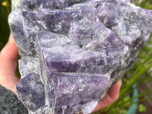 Load image into Gallery viewer, Fluorite
