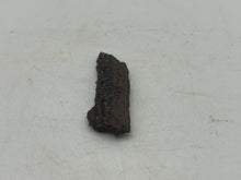 Load image into Gallery viewer, Drusy fossil wood

