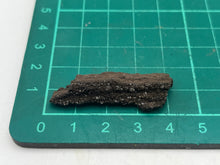 Load image into Gallery viewer, Drusy fossil wood
