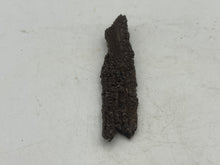 Load image into Gallery viewer, Druze fossil wood
