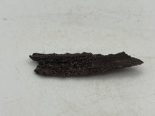 Load image into Gallery viewer, Druze fossil wood
