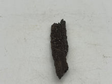 Load image into Gallery viewer, Druze fossil wood
