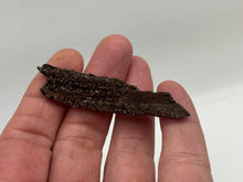 Load image into Gallery viewer, Druze fossil wood
