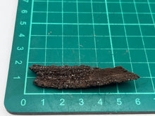Load image into Gallery viewer, Druze fossil wood
