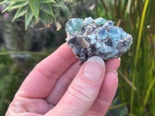 Load image into Gallery viewer, Fluorite
