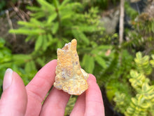 Load image into Gallery viewer, Bamboo agate
