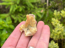 Load image into Gallery viewer, Bamboo agate
