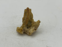 Load image into Gallery viewer, Bamboo agate
