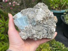 Load image into Gallery viewer, Muscovite mica with aquamarine

