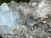 Load image into Gallery viewer, Muscovite mica with aquamarine
