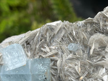 Load image into Gallery viewer, Muscovite mica with aquamarine
