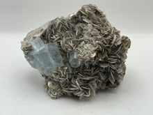 Load image into Gallery viewer, Muscovite mica with aquamarine

