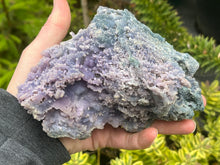 Load image into Gallery viewer, Grape (Botryoidal) chalcedony
