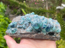 Load image into Gallery viewer, Fluorite
