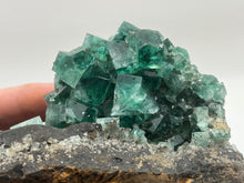 Load image into Gallery viewer, Fluorite
