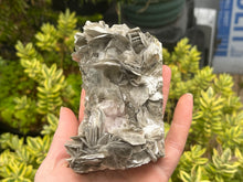 Load image into Gallery viewer, Muscovite mica and beryl
