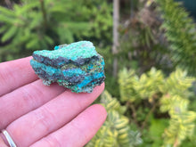Load image into Gallery viewer, Conichalcite and Chrysocolla
