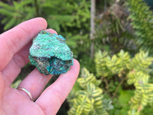 Load image into Gallery viewer, Conichalcite and Chrysocolla
