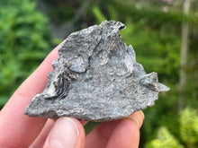 Load image into Gallery viewer, Phlogopite mica
