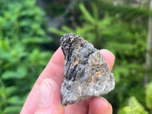 Load image into Gallery viewer, Phlogopite mica
