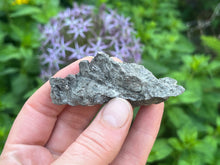 Load image into Gallery viewer, Phlogopite mica
