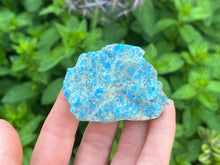 Load image into Gallery viewer, Apatite
