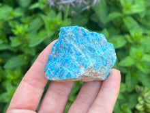 Load image into Gallery viewer, Apatite
