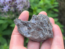 Load image into Gallery viewer, Phlogopite mica
