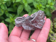 Load image into Gallery viewer, Phlogopite mica
