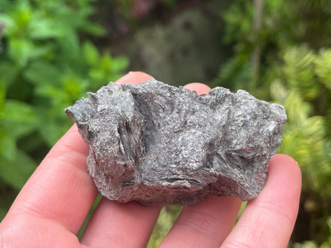 Phlogopite
