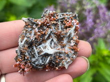 Load image into Gallery viewer, Vanadinite and Baryte
