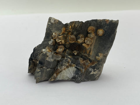 Wavellite