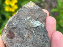 Load image into Gallery viewer, Olivenite
