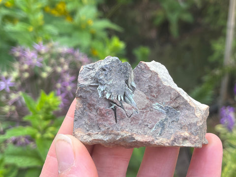 Olivenite